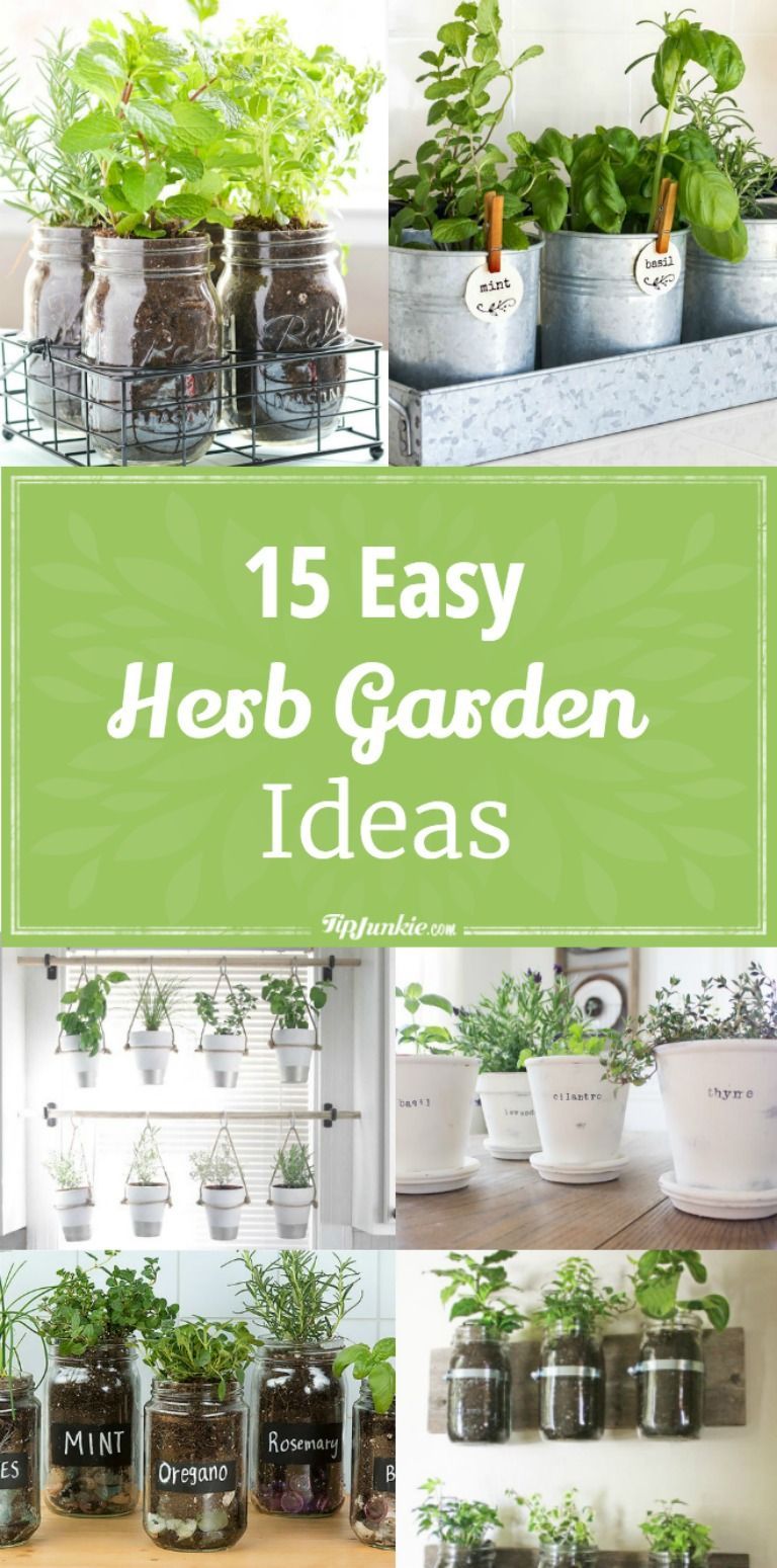 15 Easy DIY Herb Garden Ideas | Taryn Coghlan | The Transformation Clinic